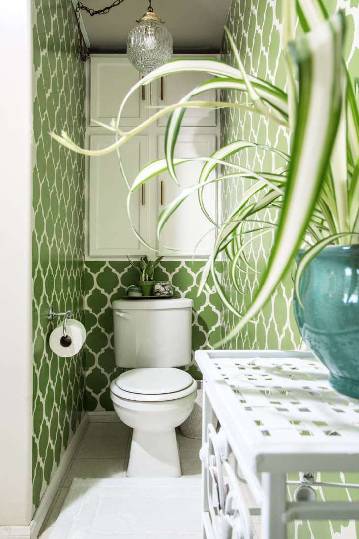 small bathroom with green wallpaper and green plants