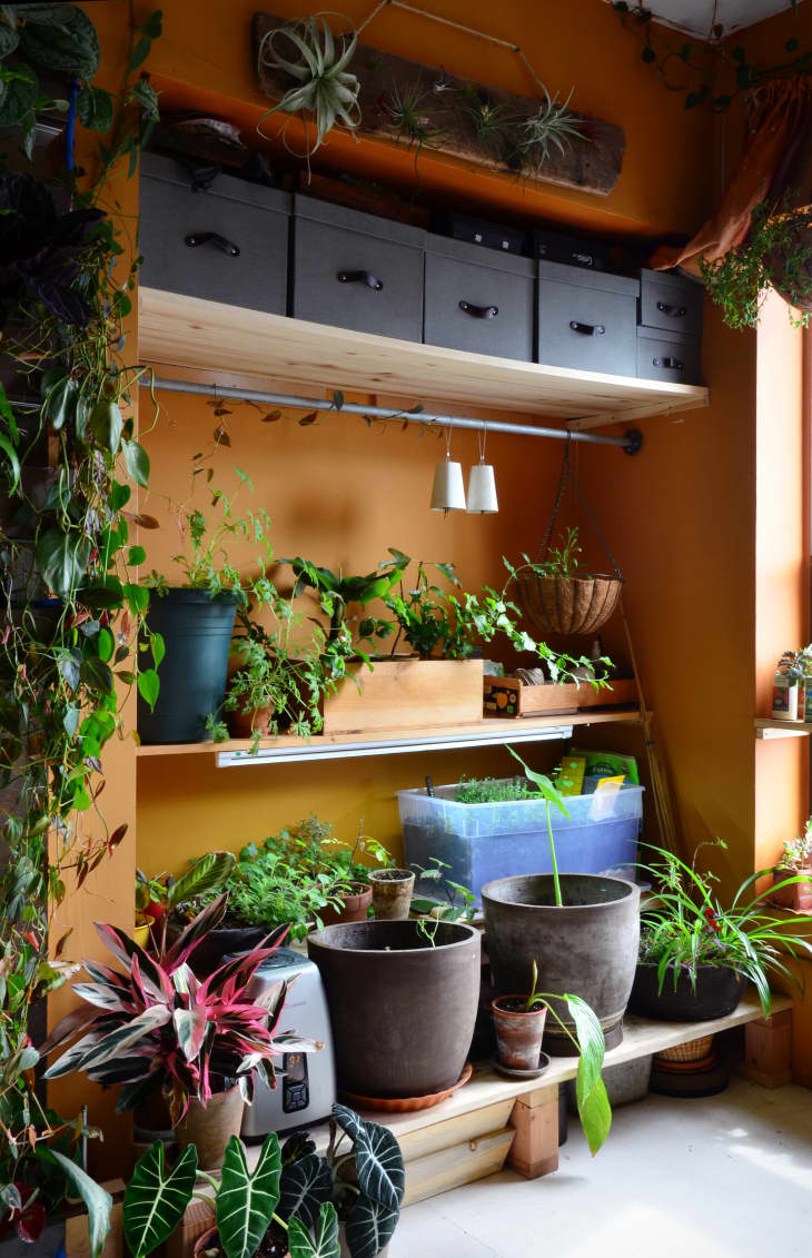 15 Indoor Garden Ideas - How to Make a Garden Inside Your ...