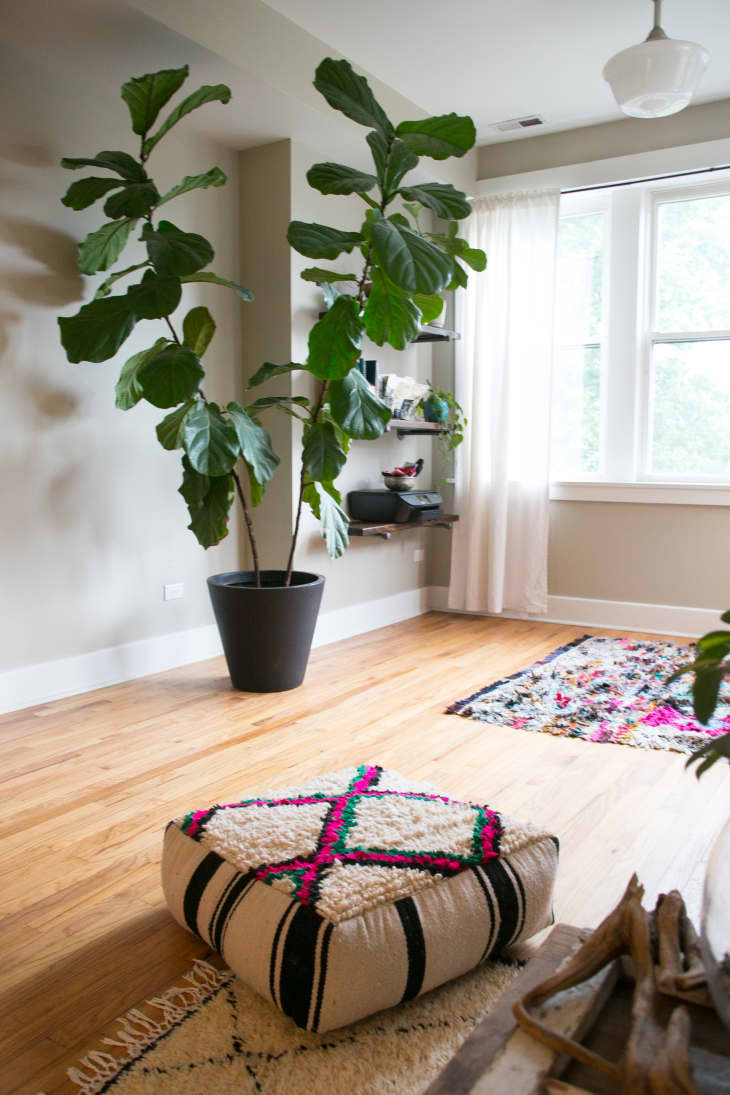 Picture of 39 Eco-Friendly Home Decor Materials: Design a Beautiful & Sustainable ...