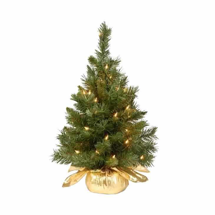 Costco's Selling Real Tabletop Christmas Trees for Just $20 | The Kitchn