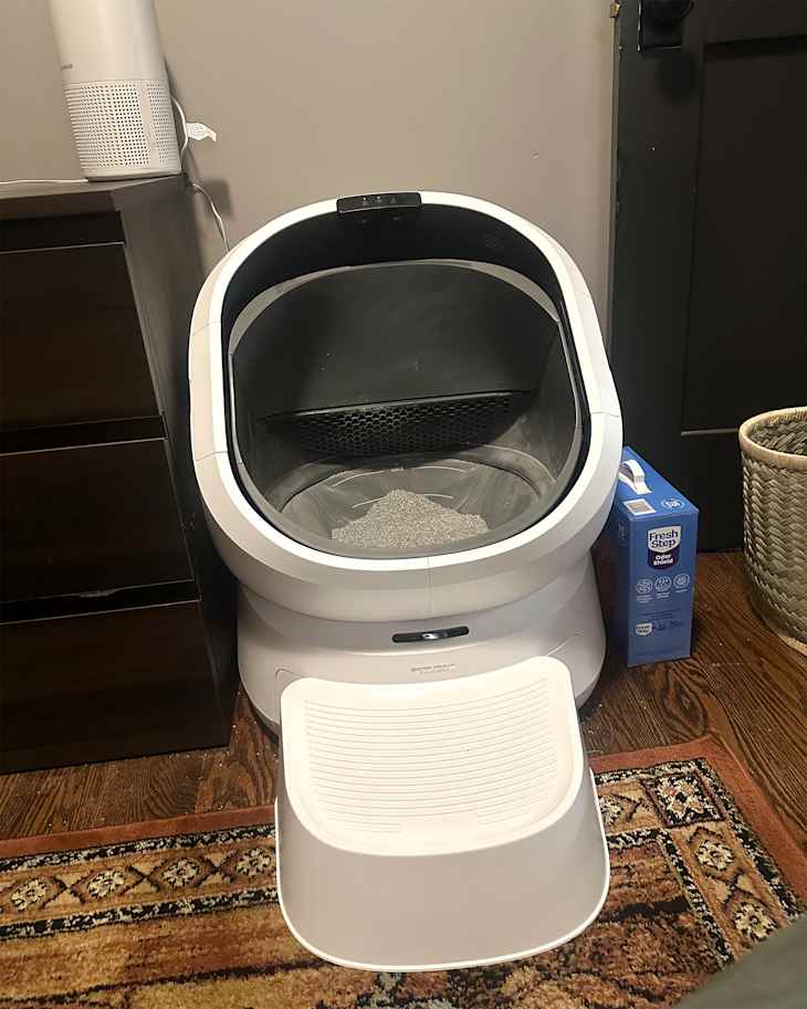 Best Smart Litter Boxes for Small Apartments: Petlibro Luma Review ...