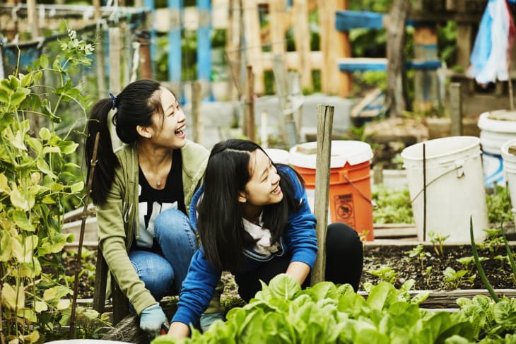 Laughing young women volunteering in community garden