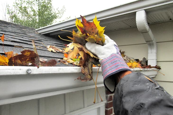 gloved hand cleaning autumn leaves out of home rain gutter