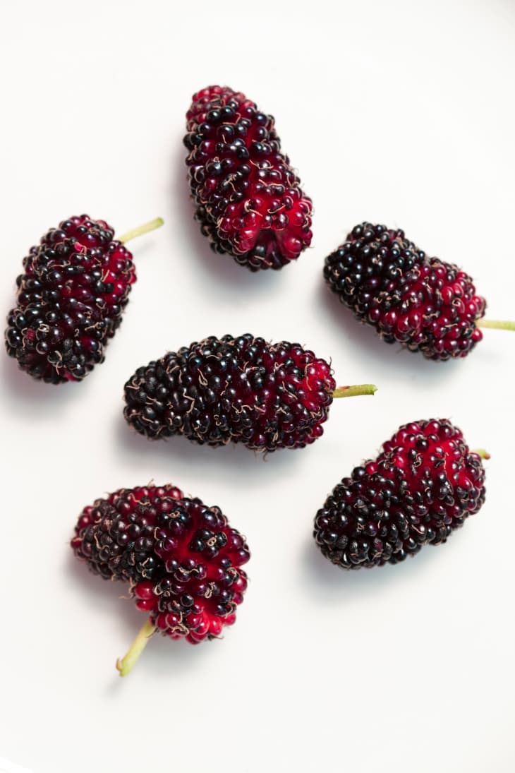 Harvested mulberries