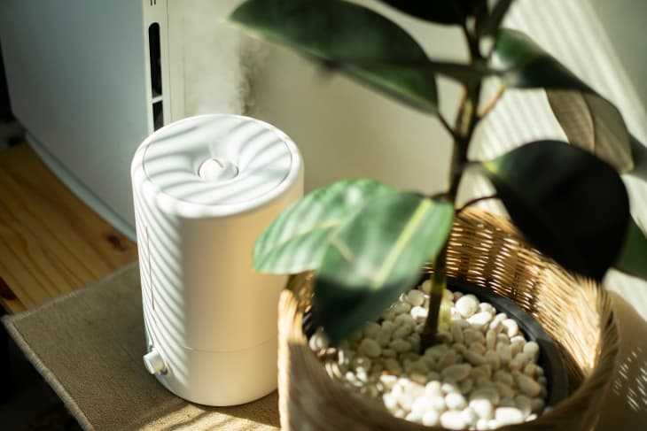Close up Air Humidifier machine with Air Purifier tree with light from window
