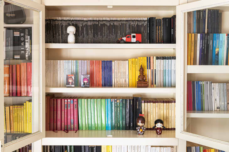 Color coordinated bookshelf