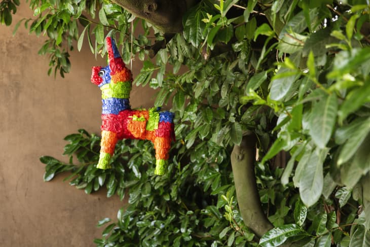 A piñata hanging from a tree at a wedding party.