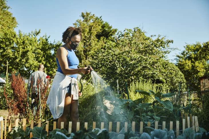 Young woman wearing face mask watering plants on urban farm.