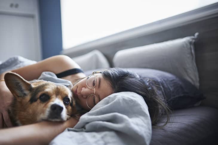 Mid adult woman lying in bed with dog