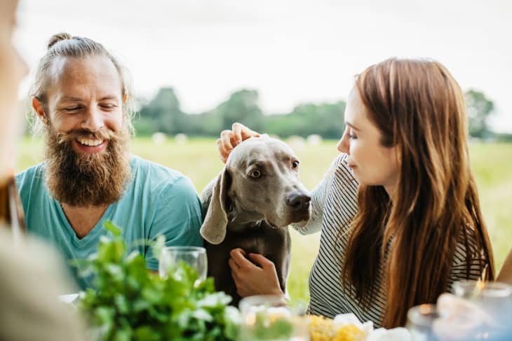 Couple Petting Their Dog While Having Lunch Outdoors