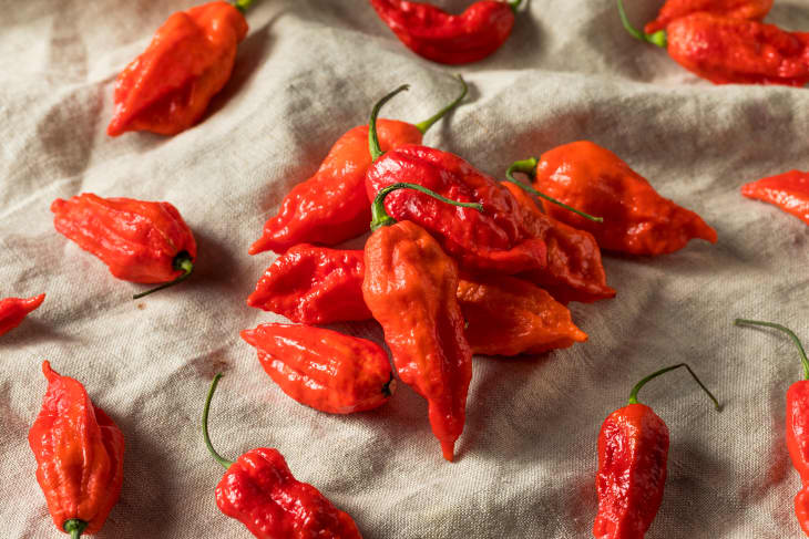 Raw Organic Spicy Bhut Jolokia Ghost Peppers Ready to Cook
