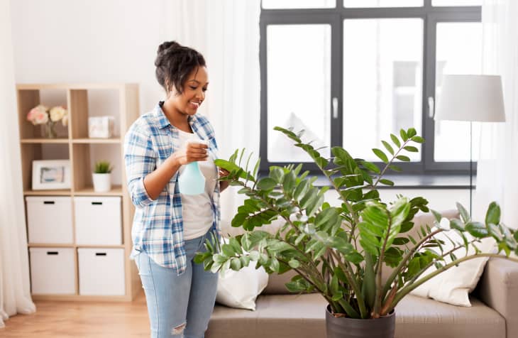 女浇水植物