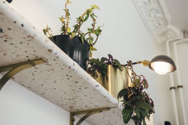 Terrazzo Shelf with Green Plants, Minimal Interior, Moulding on Ceiling