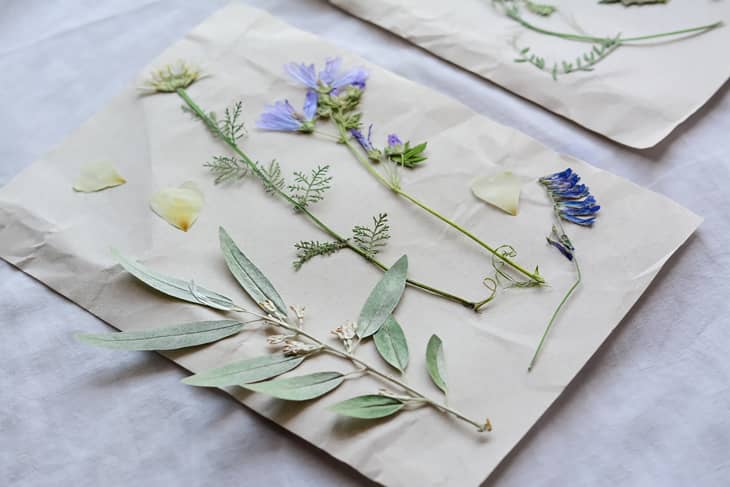 Sheets of paper with dried flowers and leaves on white fabric.