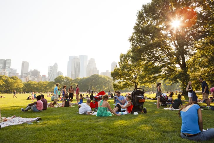People enjoying a beautiful summer day in Sheep Meadow, Central Park. The sun shines through the trees in the late afternoon.