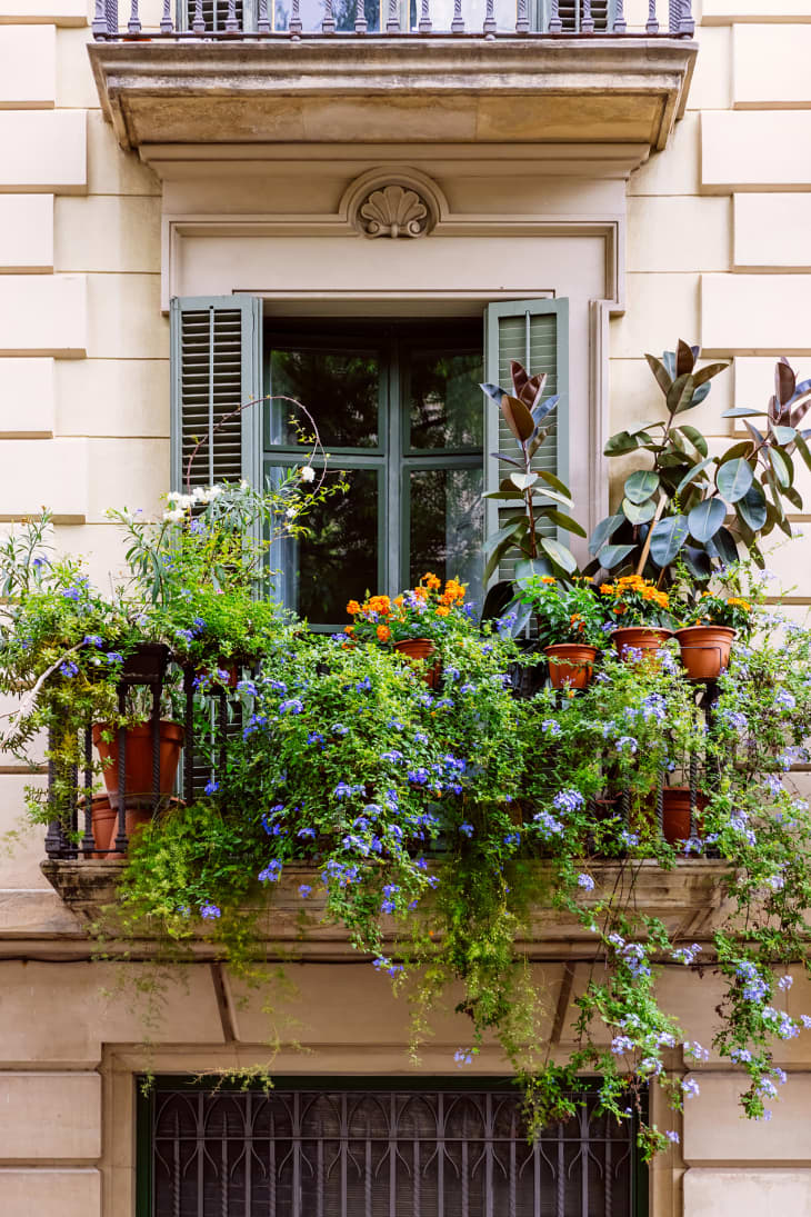 What Is a Juliet Balcony? History, Purpose & Decorating Tips ...