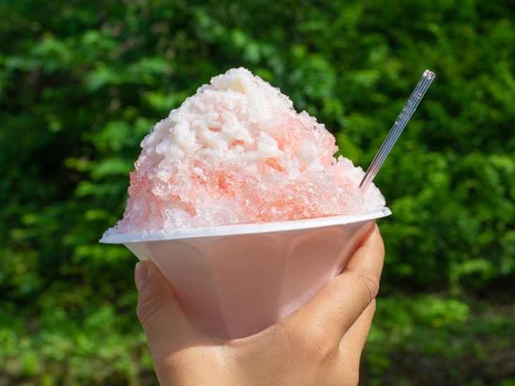 7 Types of Ice and How to Make Them (Nugget, Bullet & More) | The Kitchn