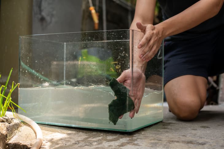 Cleaning a hot sale freshwater tank