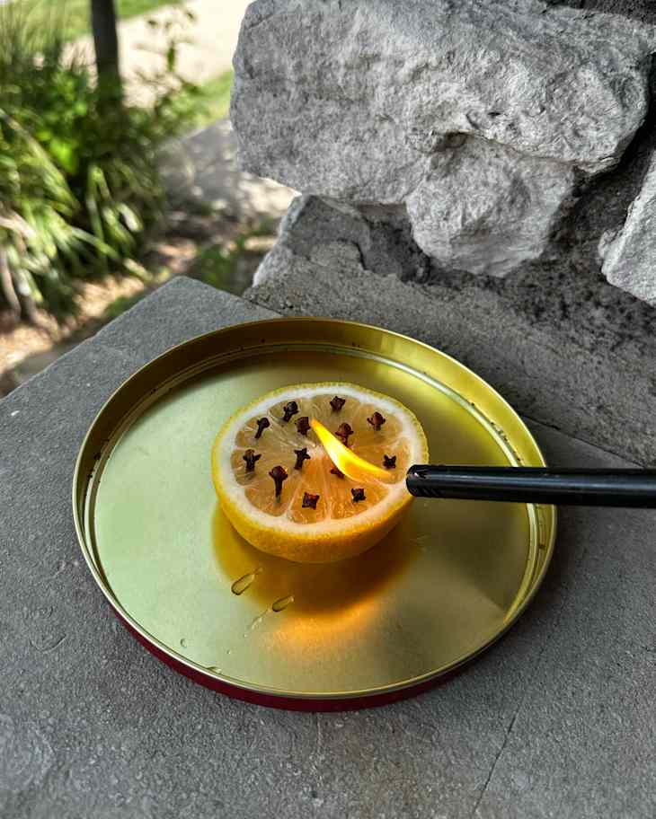 I Just Learned About This Natural $2 Mosquito Repellent (That Works ...