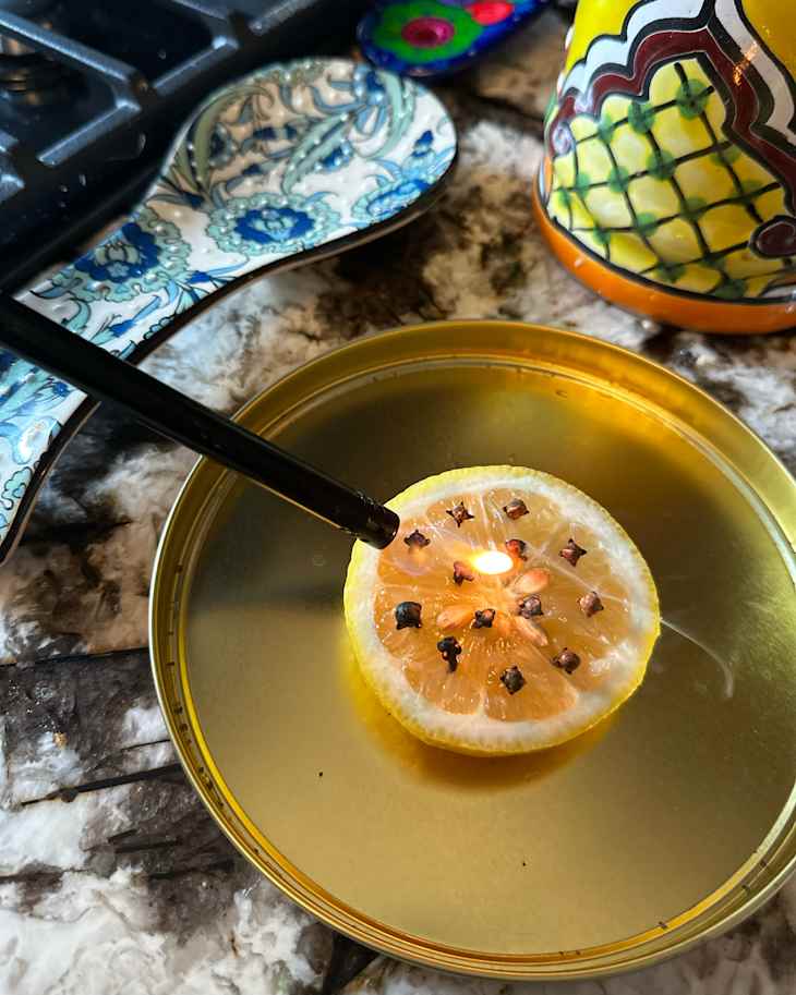 I Just Learned About This Natural $2 Mosquito Repellent (That Works ...