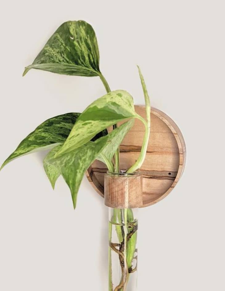 Best Last-Minute Holiday Gift Ideas 2020: Gift Cards, Subscription Boxes | Apartment Therapy