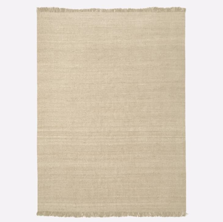 The Best Rugs for Dog Parents in 2024 — Plus What to Look For