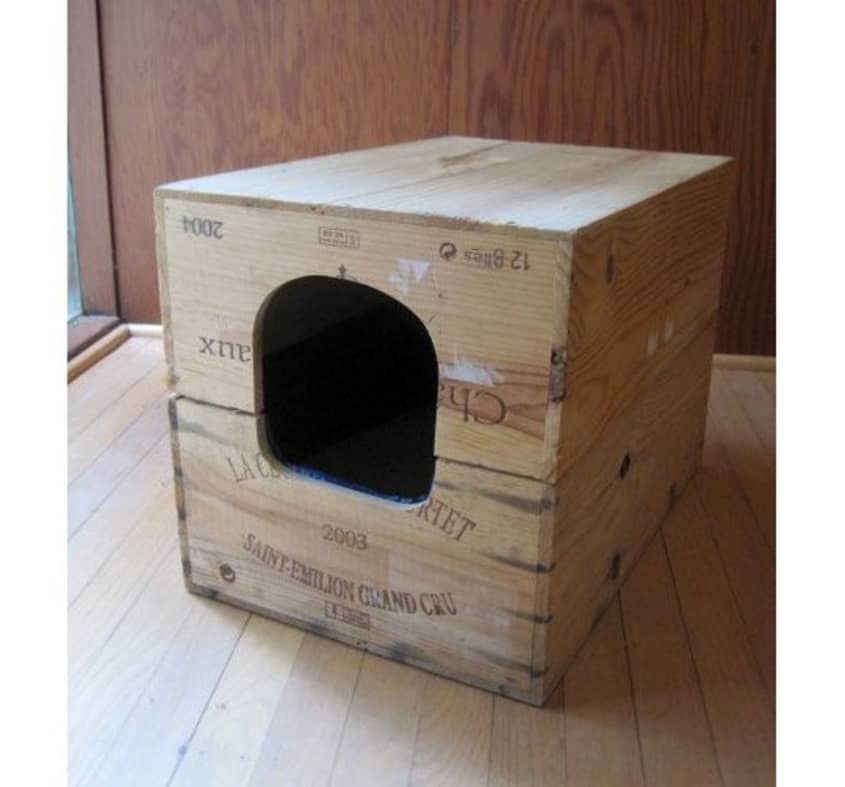 are elevated food bowls better for cats Tilted Pet Food Bowl