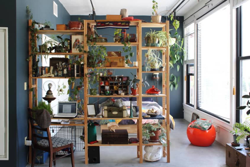 Plant divider in an eclectic LA studio