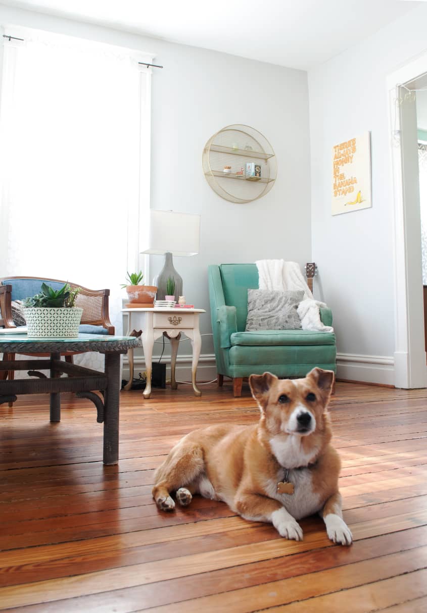 house-tour-colorful-vintage-finds-in-a-st-louis-home-apartment-therapy