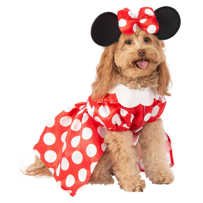 Disney Now Sells Dog Costumes Online
