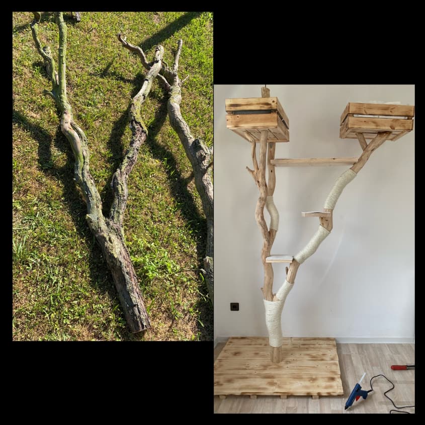 found branches turned into minimalist cat tree