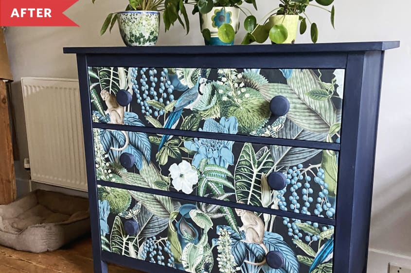 After: Plants sitting atop blue dresser with tropical peel-and-stick wallpaper applied to drawer fronts