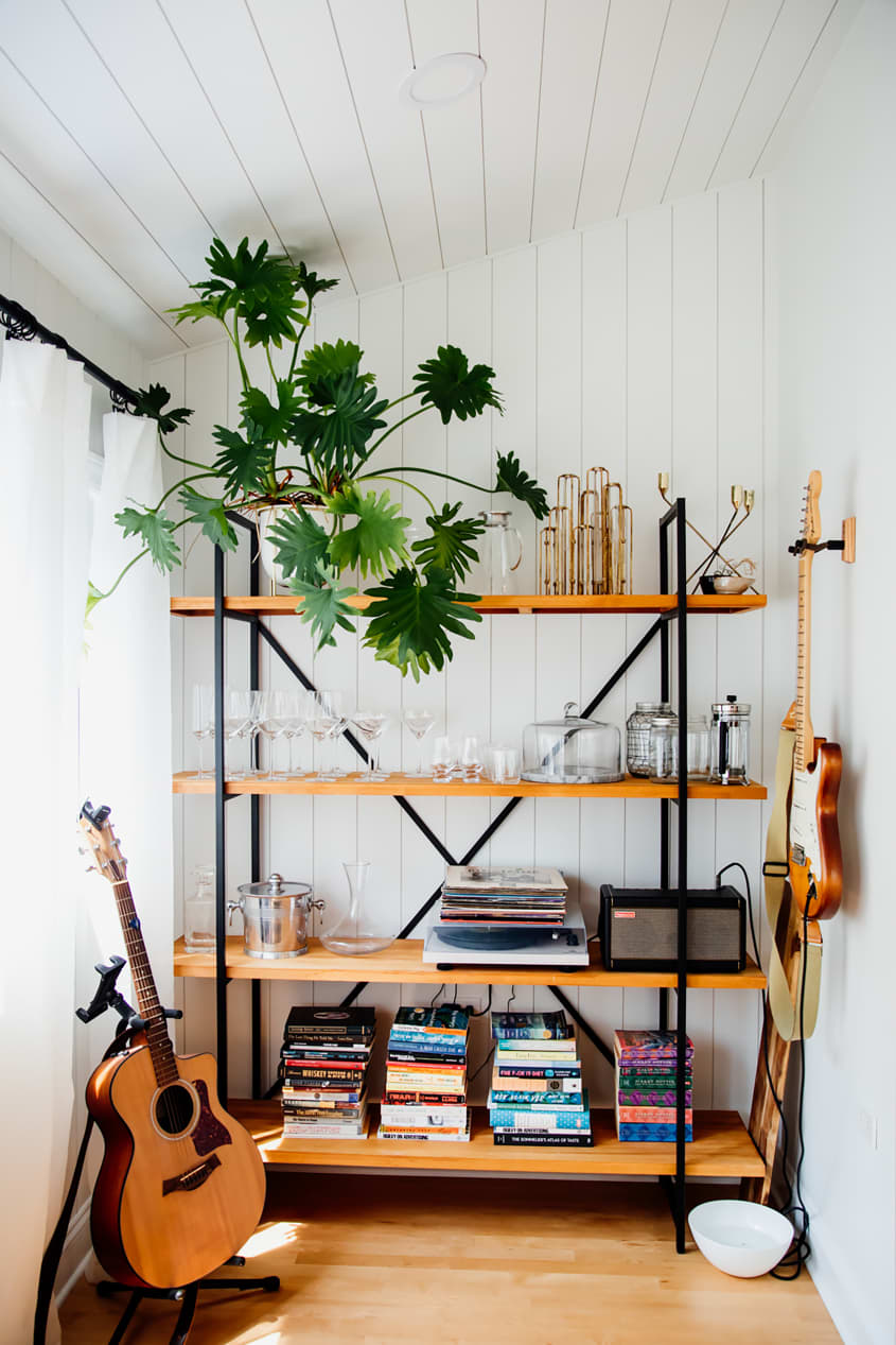 Large house plant sits on top of wooden shelving unit with black frame in light filled space. Shelves are lined with glassware, books, and records.