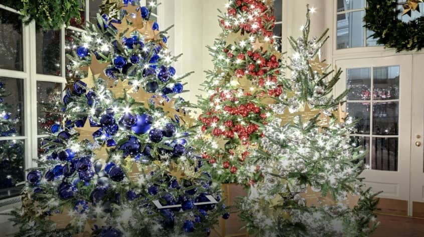 The White House Has Unveiled Its 2022 Christmas Decorations | Apartment  Therapy