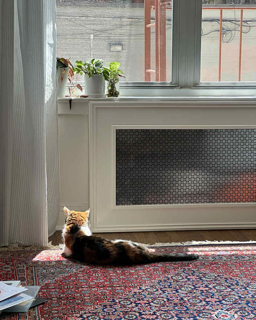 DIY Radiator Makeover: Transform Landlord Specials Into Stylish, Removable Covers