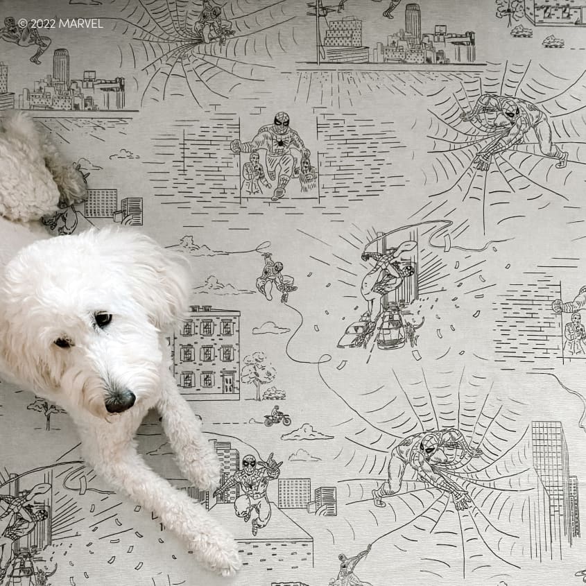 Ruggable Has Launched a Marvel Rug Collection Apartment Therapy