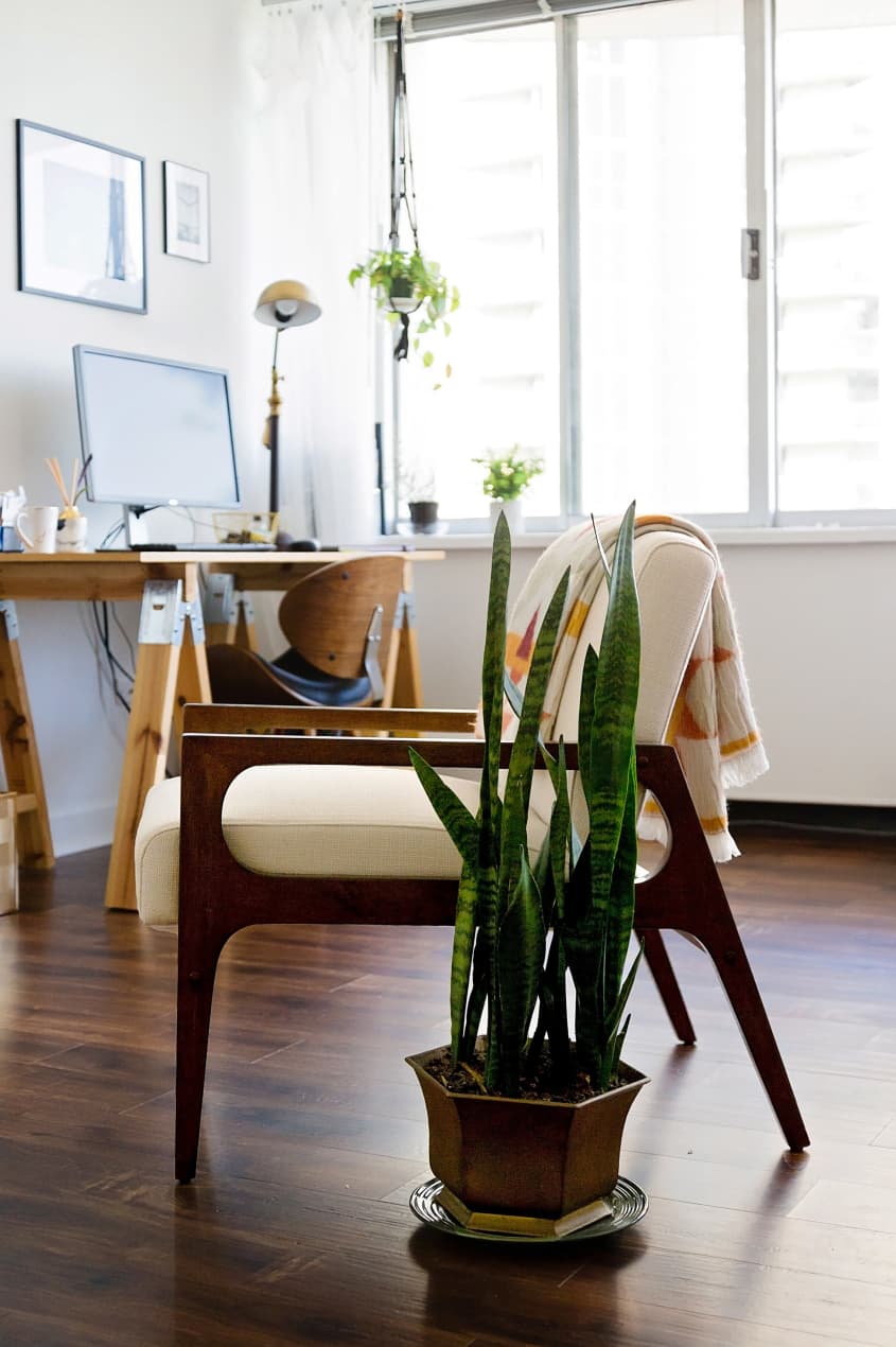 A Smartly Styled Milwaukee Studio Apartment Therapy