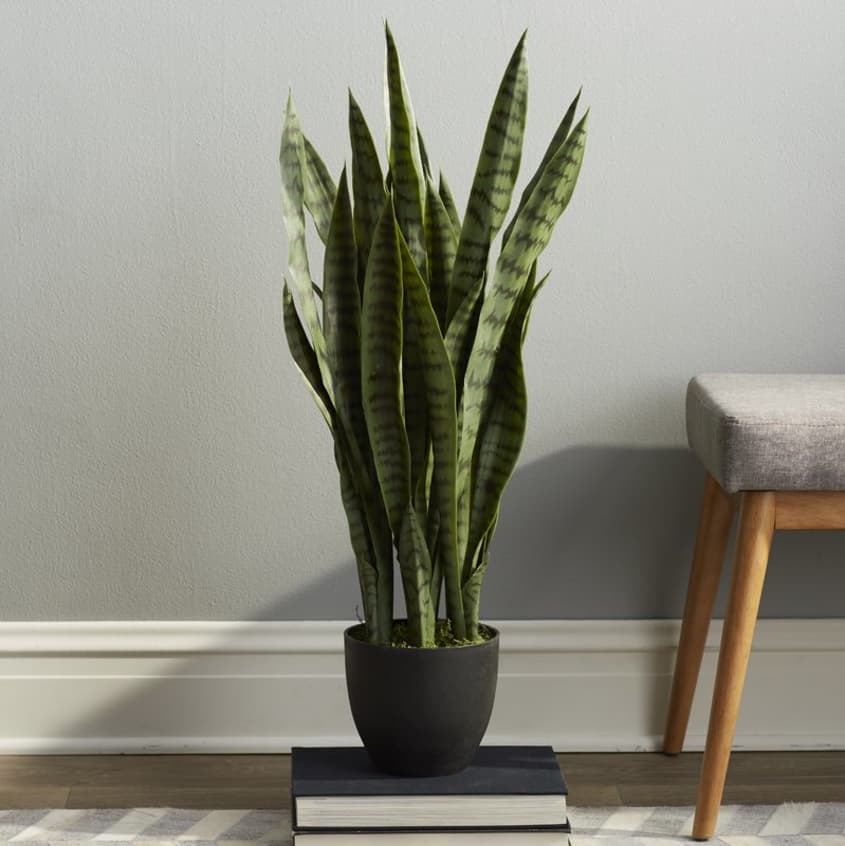 Realistic Fake Artificial Plants The Kitchn