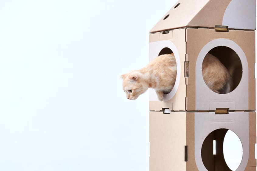 Cat Tree Modular Cardboard Photos Apartment Therapy