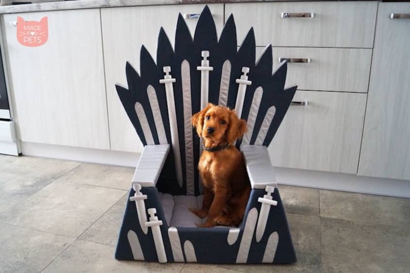 Iron throne shop pet bed