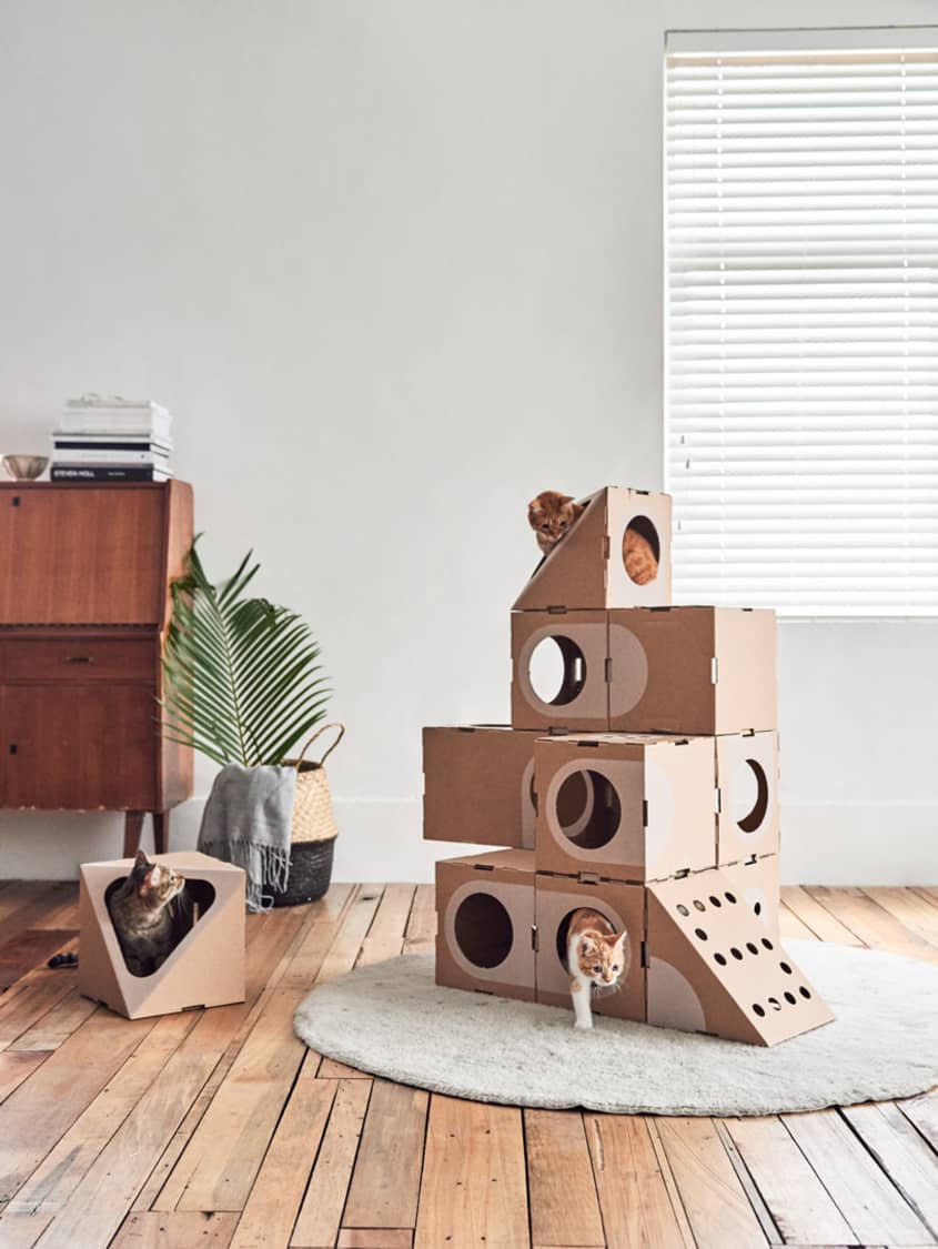 Cardboard box hot sale cat tree