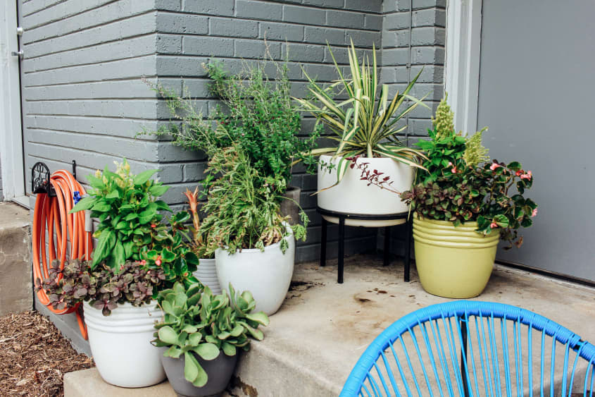 Rachel’s Backyard Patio: Now 100X Better Than Before | Apartment Therapy