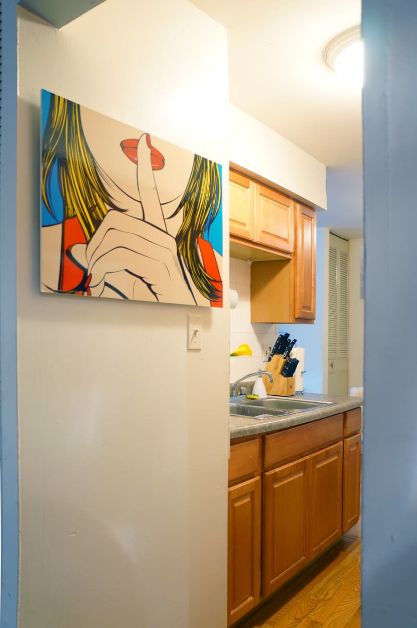 Sanja's Modern Art-Filled Chicago Apartment | Apartment Therapy
