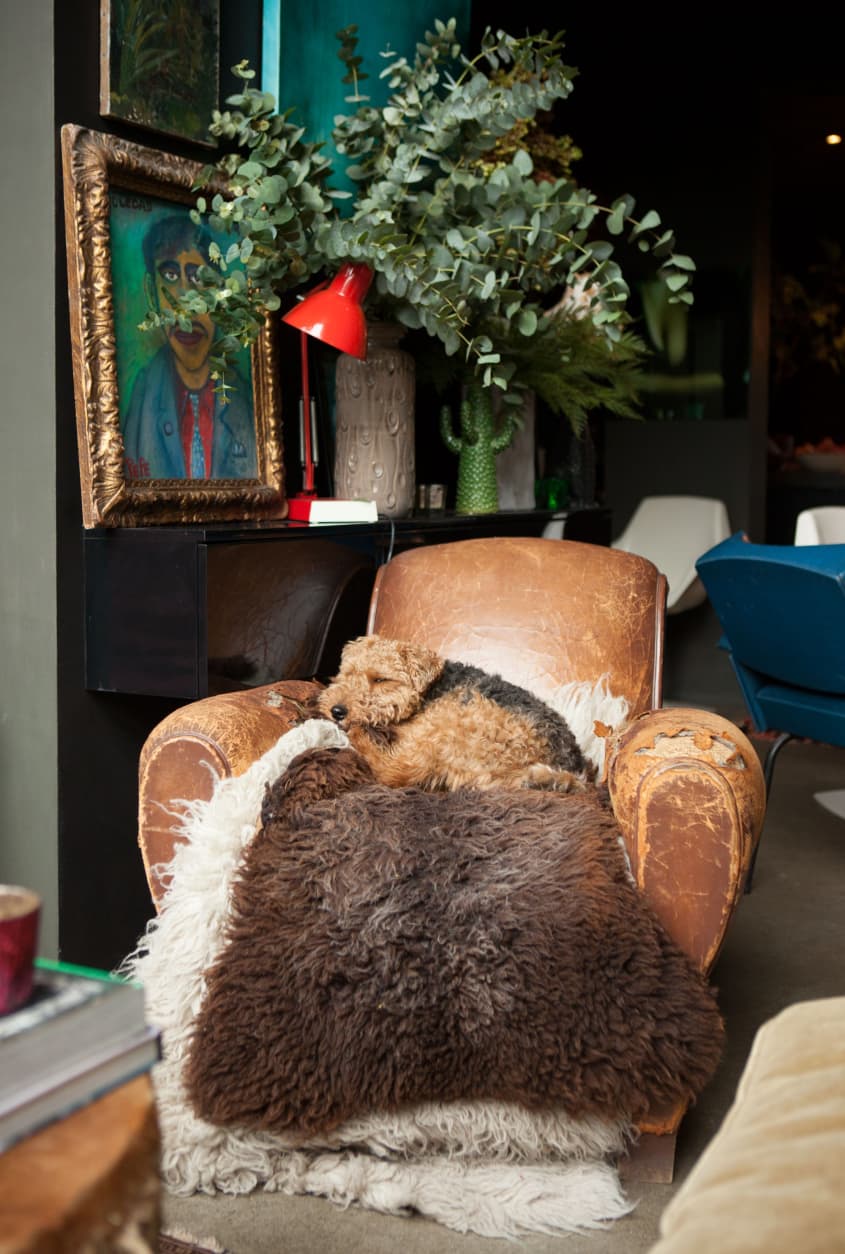 Cozy Nooks, Comfy Chairs, & Fluffy Beds JustRight Spots To Get Your Reading On Apartment Therapy
