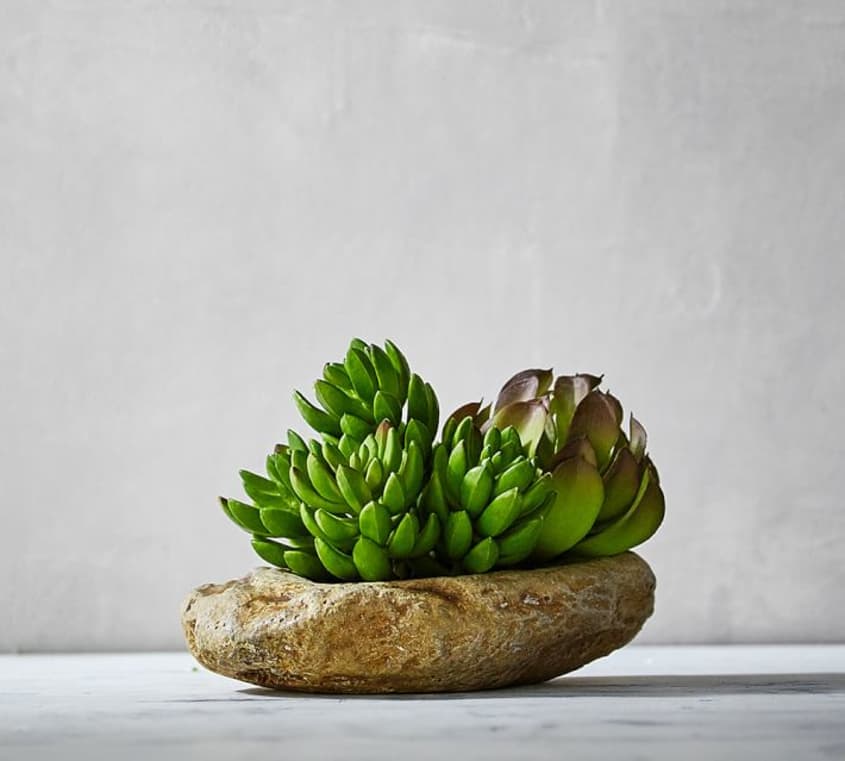 Realistic Fake Artificial Plants The Kitchn