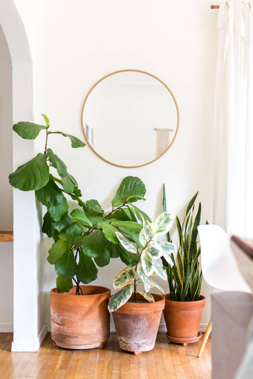 House Tour: A Boho Minimal Santa Barbara Home | Apartment Therapy