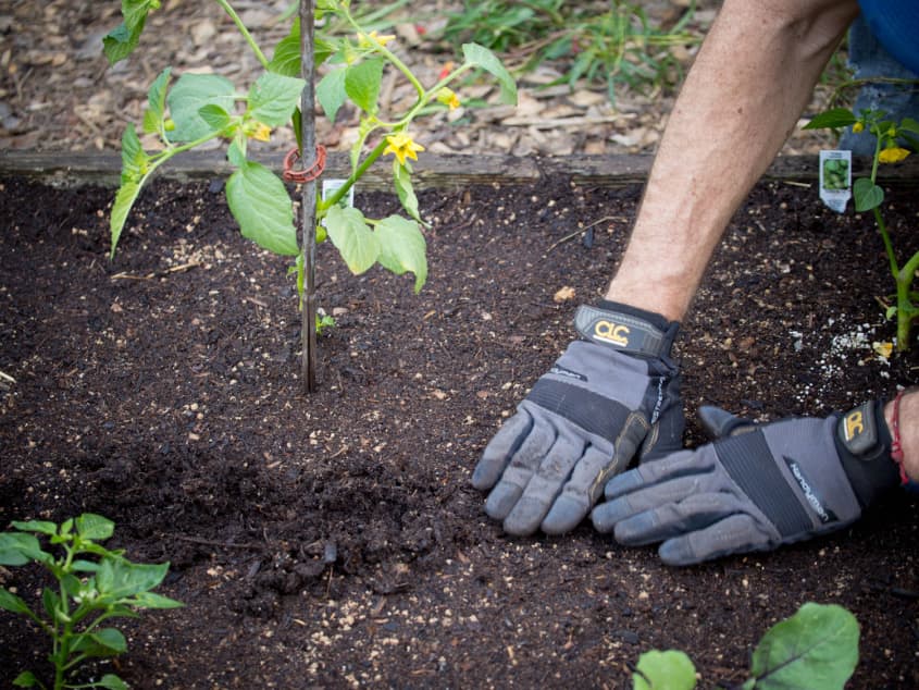 The Most Efficient Way to Plan Your Small Garden | Apartment Therapy