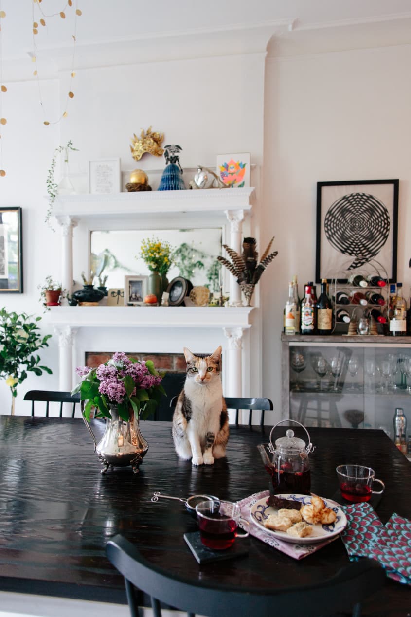 How to keep cats off cheap tables and furniture