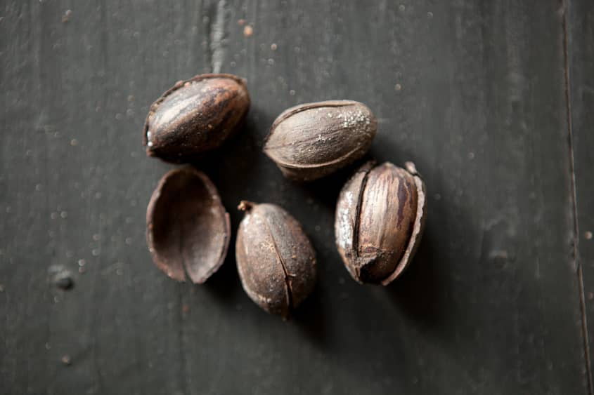 How Tucker Pecans Grows Pecans in Montgomery, Alabama The Kitchn