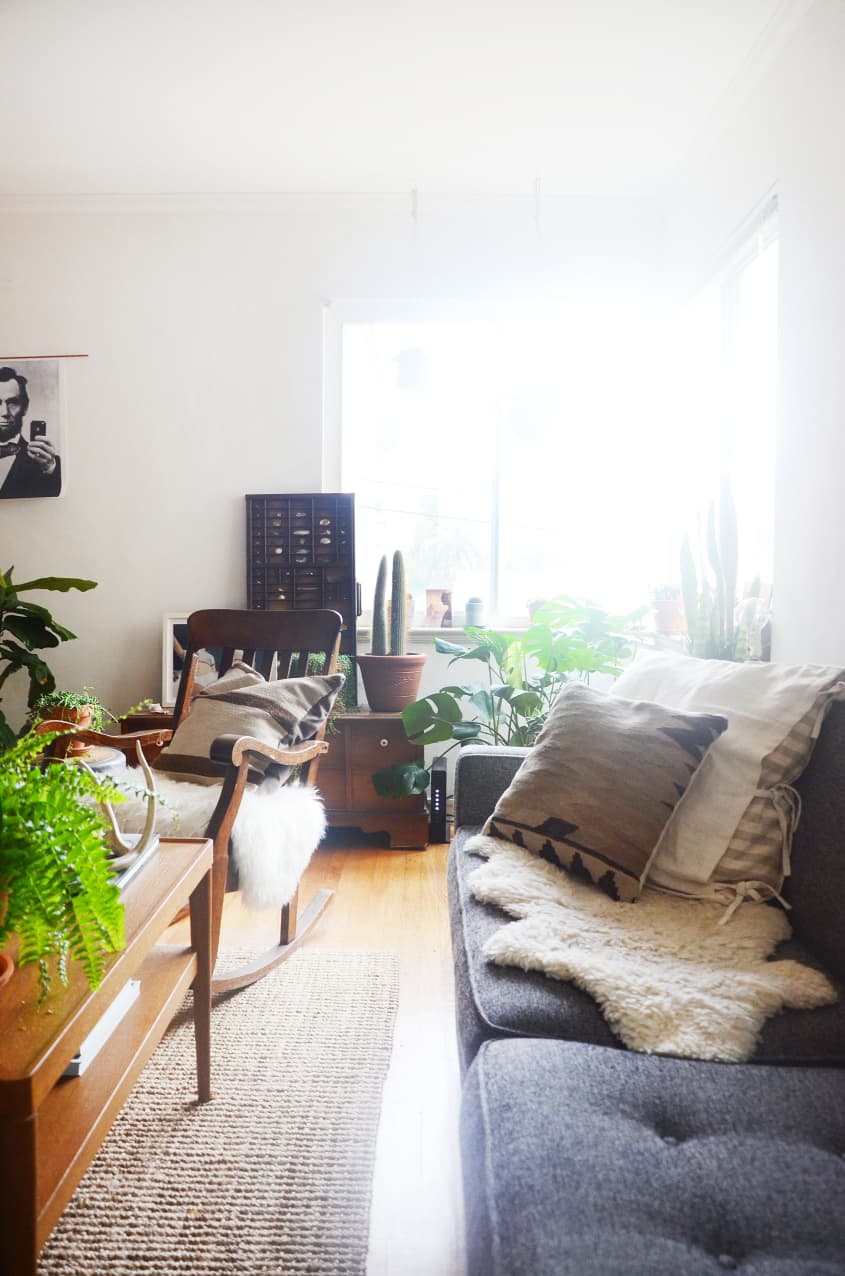 Tour: Roommates Share a Plant-Filled Oakland Apartment | Apartment Therapy